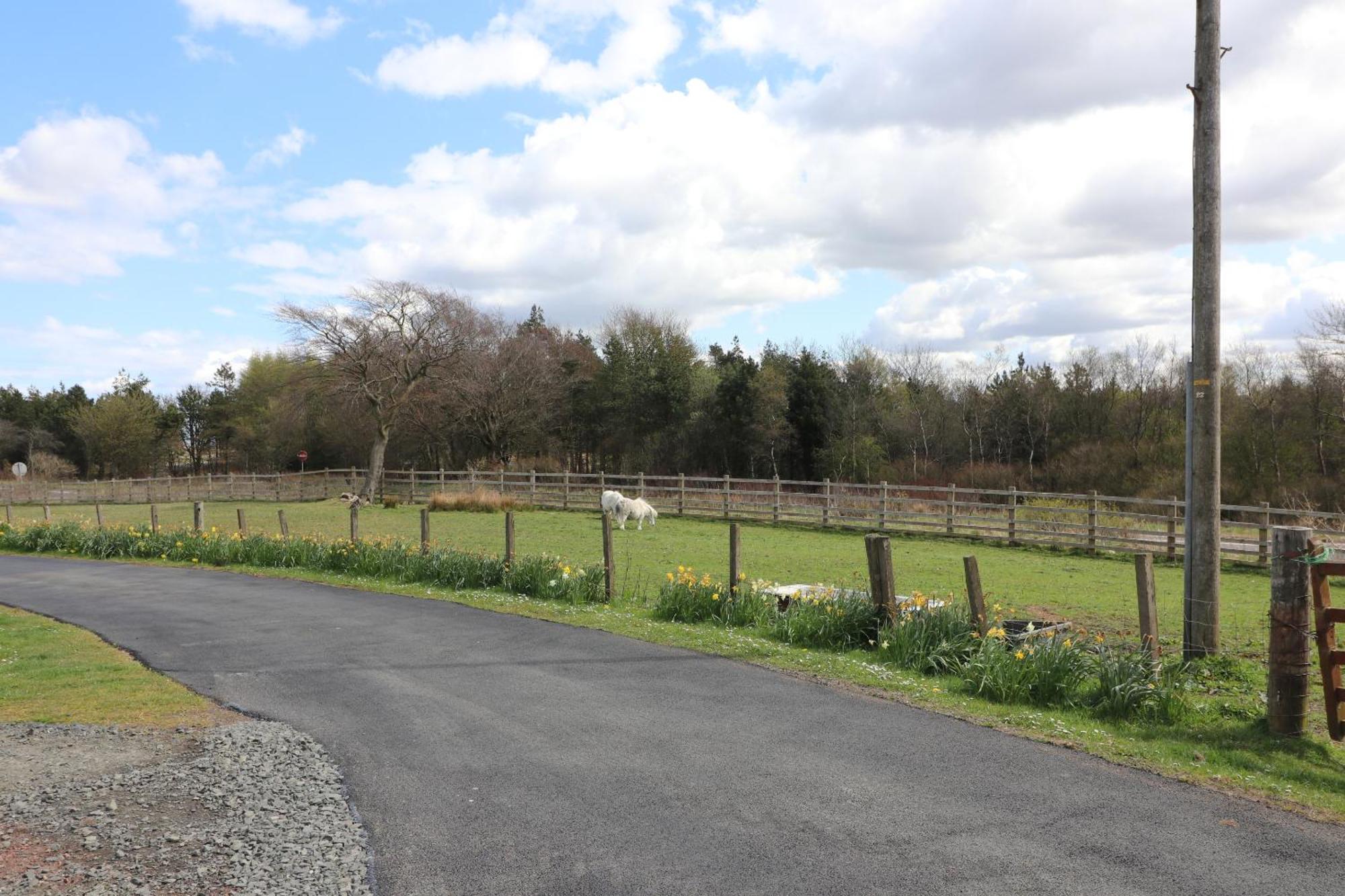 Blairmains Guest House Kirk of Shotts Exteriör bild