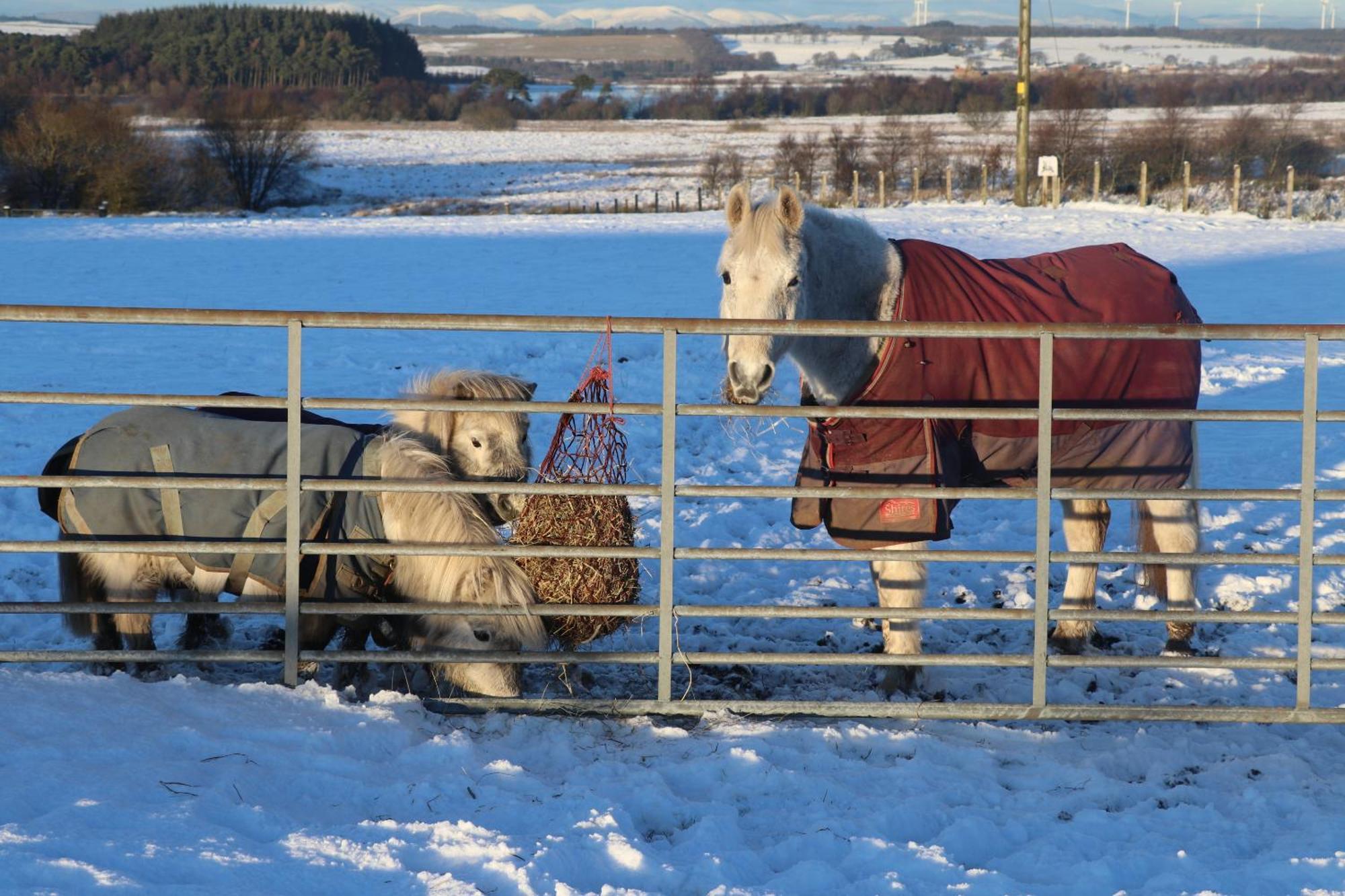 Blairmains Guest House Kirk of Shotts Exteriör bild